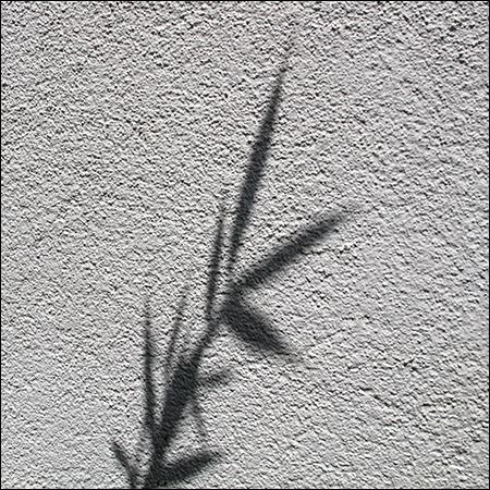 Schatten (7)