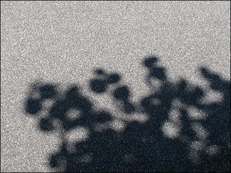 Schatten (11)